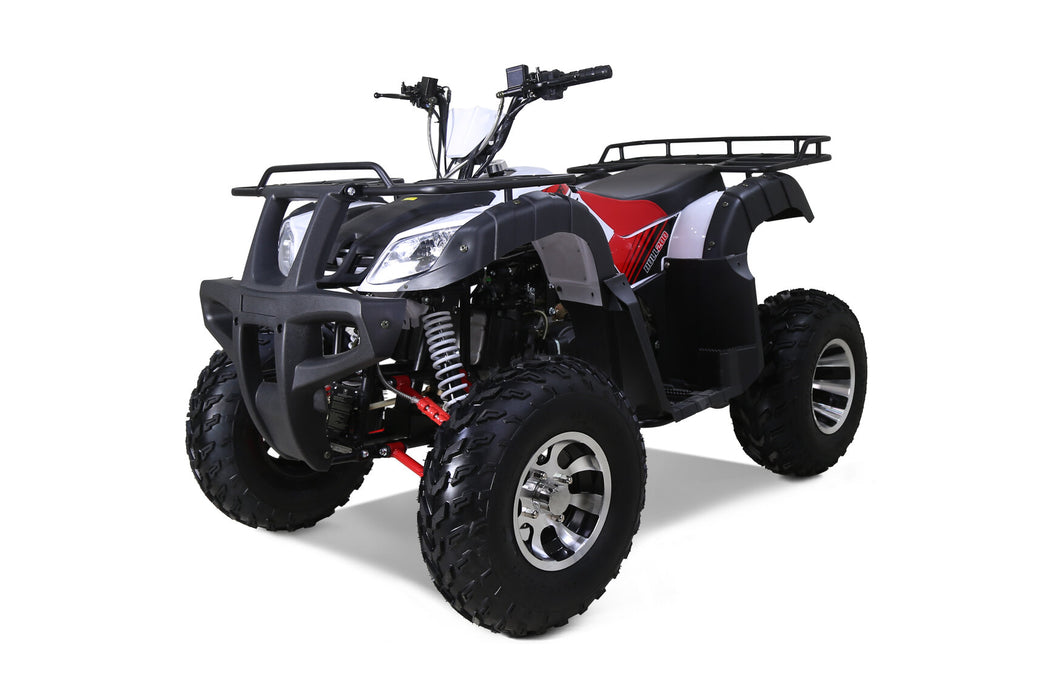 Tao Tao BULL 200S ATV