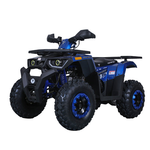 Tao Tao RAPTOR 200 (G200) ATV