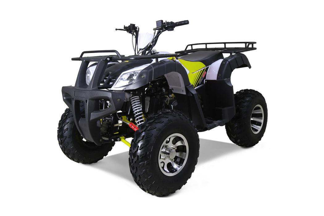 Tao Tao BULL 200S ATV