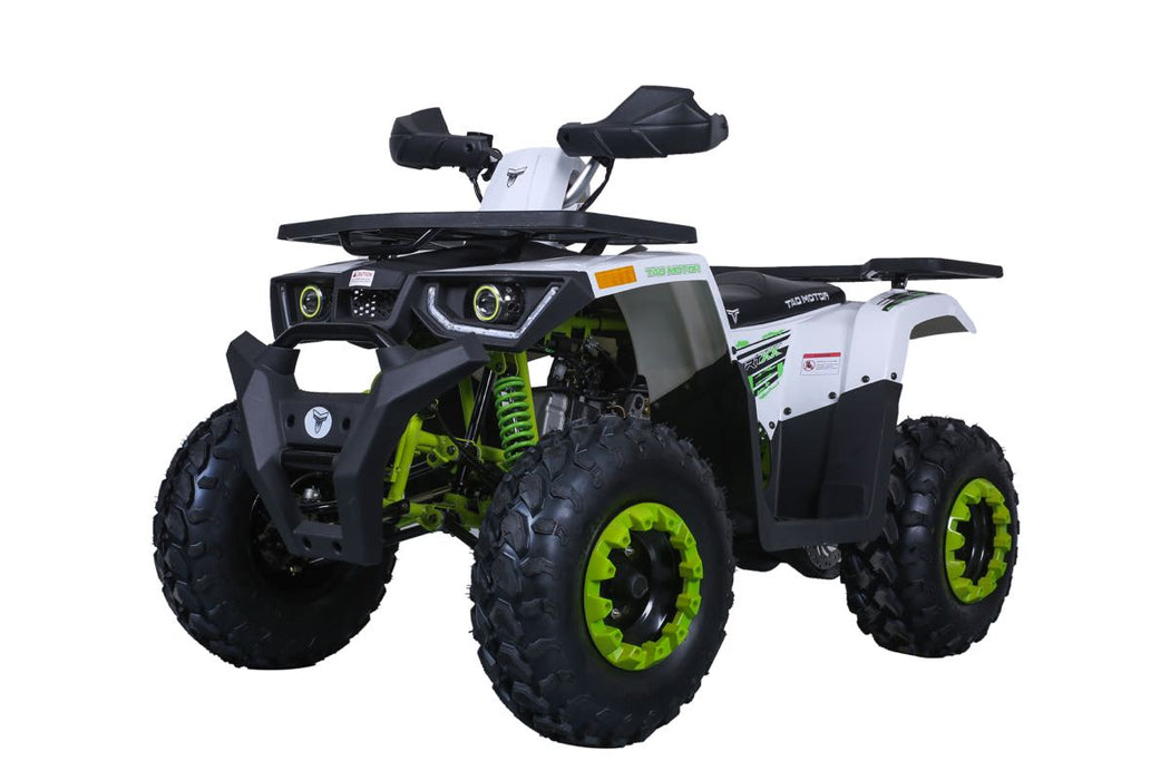Tao Tao RAPTOR 200 (G200) ATV