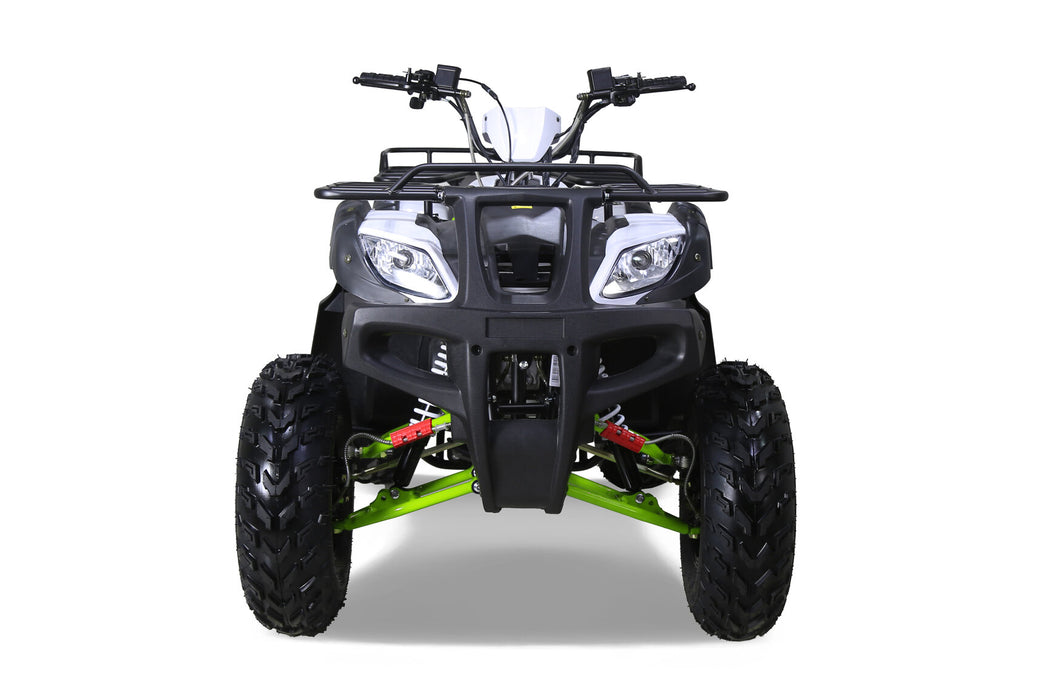 Tao Tao BULL 200S ATV