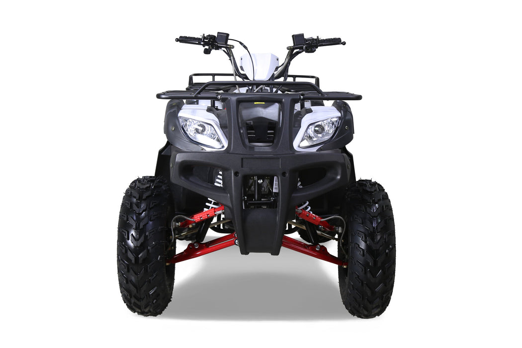 Tao Tao BULL 200S ATV