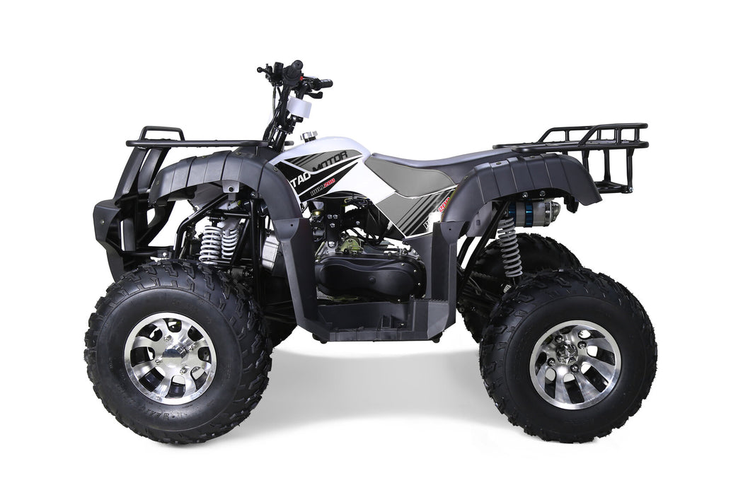 Tao Tao BULL 200S ATV