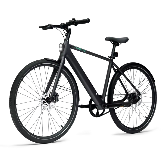 TENWAYS CGO600 Pro Electric Bike